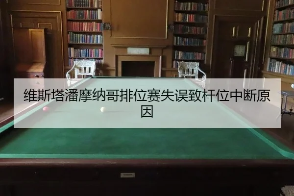 wei-si-ta-pan-mo-na-ge-pai-wei-sai-shi-wu-zhi-gan-wei-zhong-duan-yuan-yin-3-214.jpg